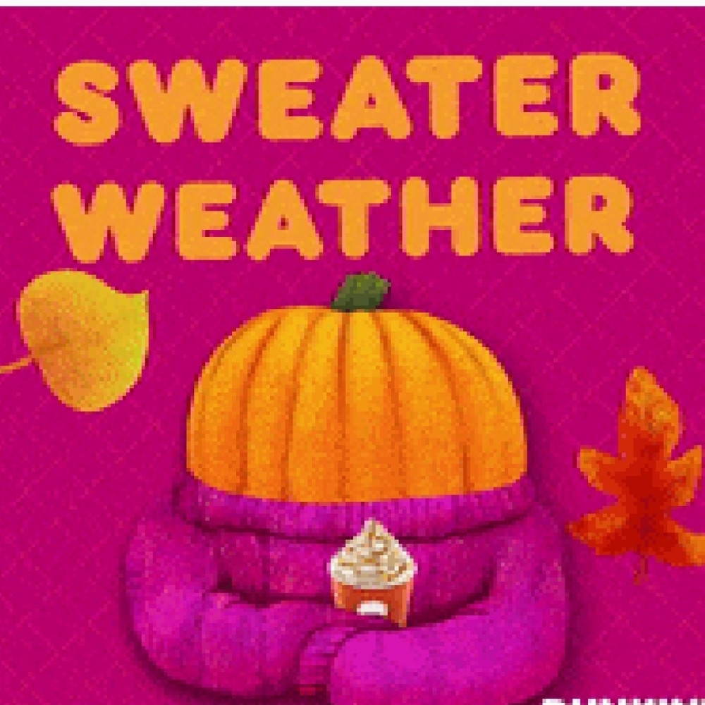 Sweater Weather!!!🎃🧣🧤🧦🧥🎄